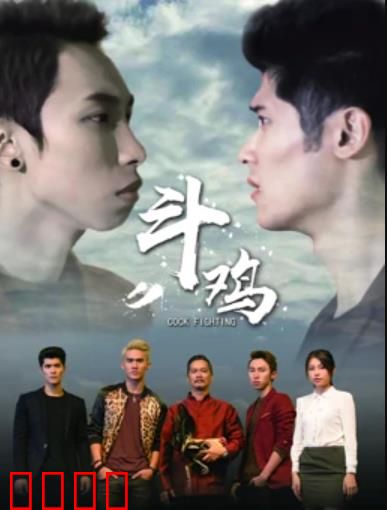 斗鸡：赌命人生