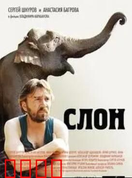 大象菩提：心灵救赎