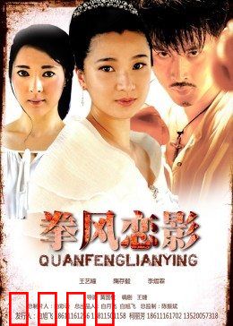 拳风恋影：铁拳与玫瑰