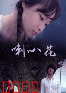 牵牛花：暗夜绽放