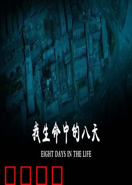 我生命中的八天：爱与遗憾的倒数