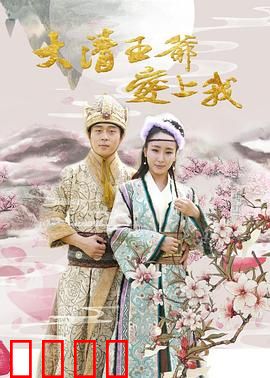 大清王爷爱上我：穿越甜宠虐恋