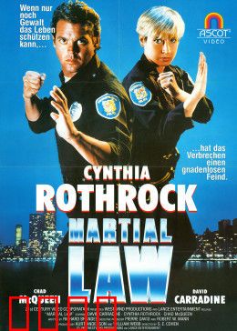 特别突击队：绝密营救