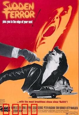 小英雄与大刺客：命运交织