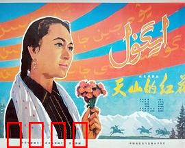 天山的红花：草原女杰的奋斗