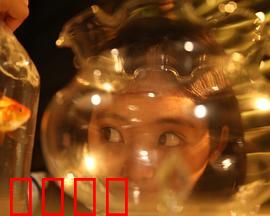 樓上樓下：邻里情仇