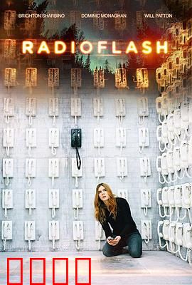 电磁脉冲：末日静寂