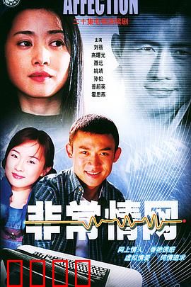 非常情网：虚拟爱情陷阱