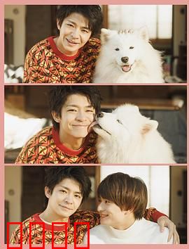 爱你汪汪：忠犬治愈孤独心