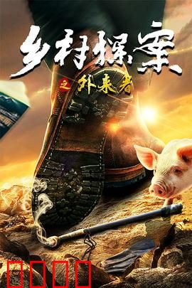 乡村探案之外来者：迷雾真相