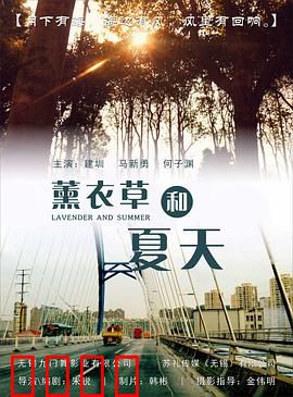 薰衣草和夏天：紫色浪漫