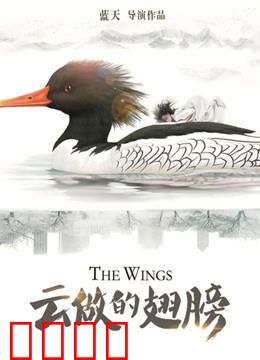 云做的翅膀：追梦之旅