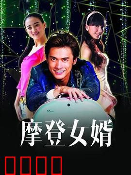 摩登女婿：女婿大作战