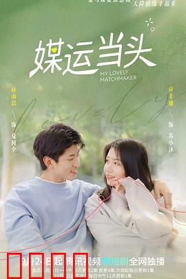 媒运当头：天降良缘