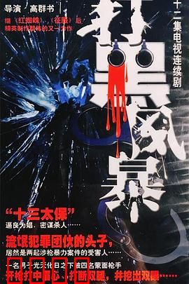 打黑风暴：正义铁拳