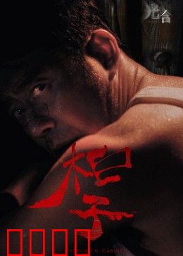 光合计划：暗夜觉醒