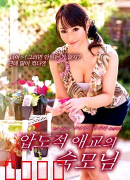 浪荡的心：流浪的归属