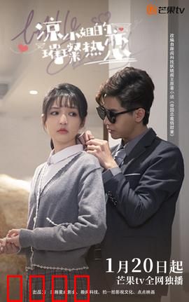 凉小姐的璀璨热恋：甜宠总裁追妻路