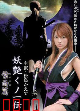 妖艳女忍者传紫雨篇：忍者暗影之谜