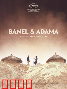 贝内尔和阿达玛：命运的交织