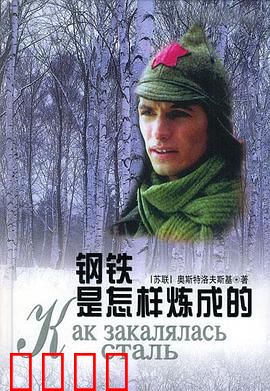 钢铁是怎样炼成的：生命淬火