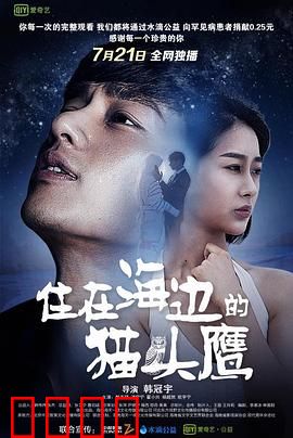 住在海边的猫头鹰：治愈孤独的旅程