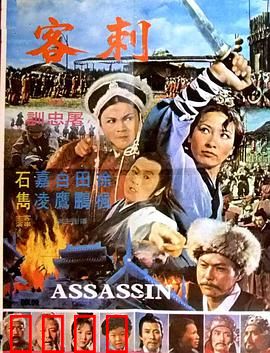 刺客：隐于黑暗的孤影