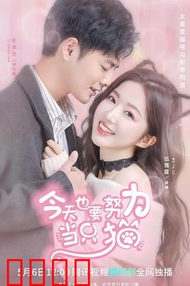 今天也要努力当只猫：猫生逆袭记