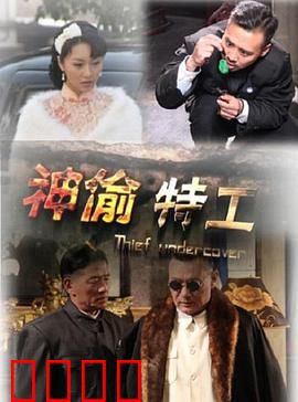 神偷特工：绝密任务