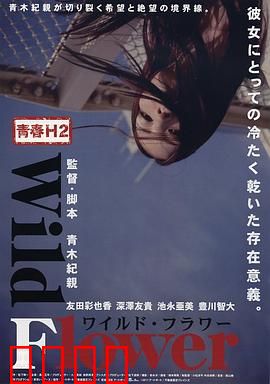 青春H2之狂野之花：叛逆青春绽放