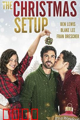 圣诞速配：假戏真爱