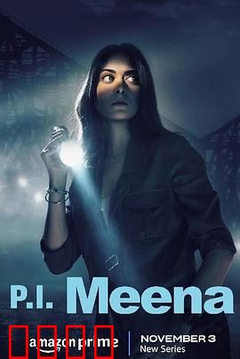 侦探米娜：寻踪奇案