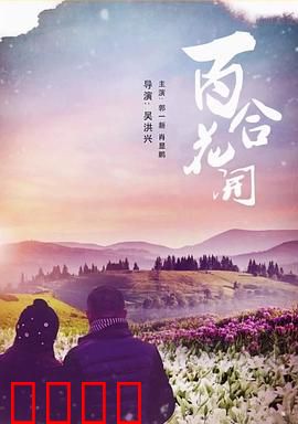 《百合花开》：逆境中的绽放
