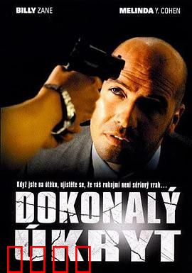 完美隐藏：致命伪装