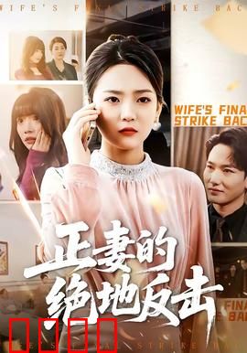 正妻的绝地反击：逆袭之路