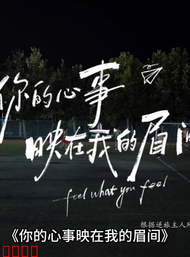 你的心事映在我的眉间：心灵重逢