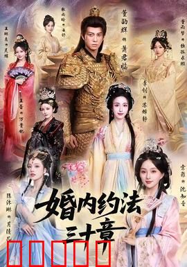 婚内约法三十章：契约婚姻