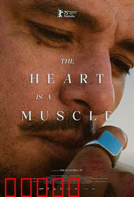 心如肌理：肌肤之痛